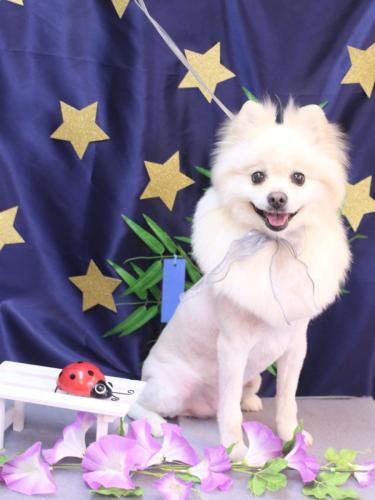 20230712もふくん